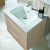 Gabinete Volado Easy Roble Provenzal con Lavabo Orbis 61cm x 46cm Esbaño 90369