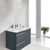Gabinete Volado Vitale Lacado Brillo Gris con Lavabo Orbis 61cm x 46cm Esbaño 90106